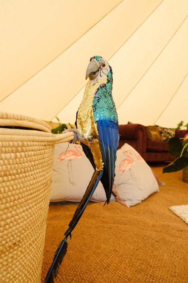 Parrot made of blue and gold sequins, inside one of the hen party chill out tents at hen camp.