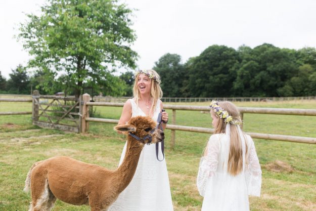 Pets at weddings