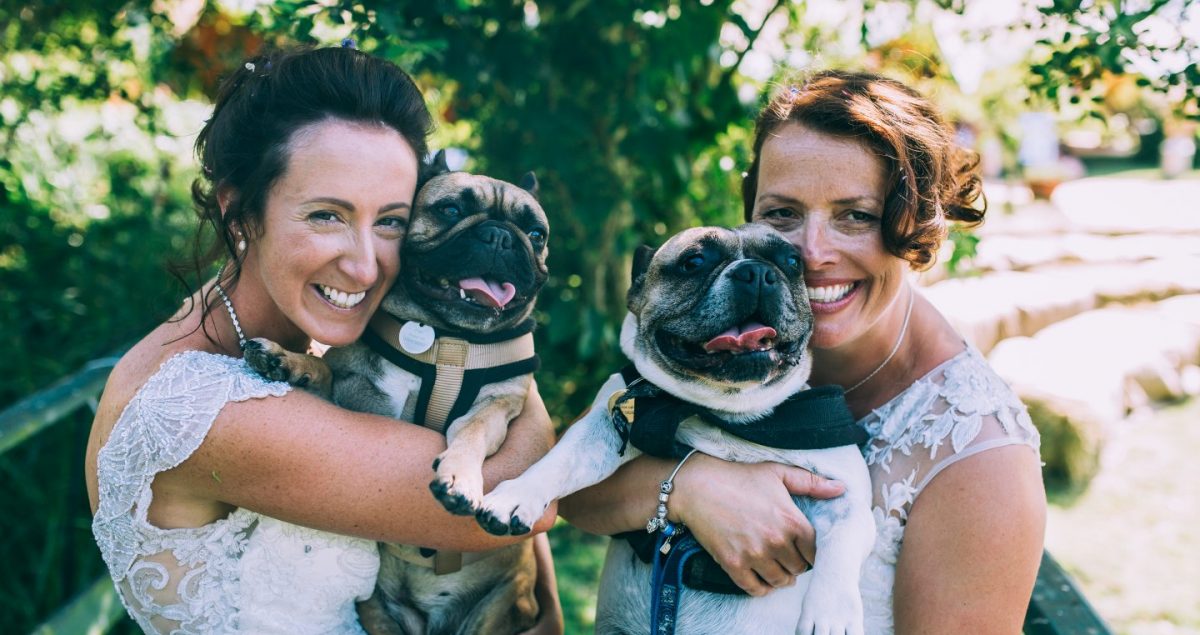 Pets at weddings